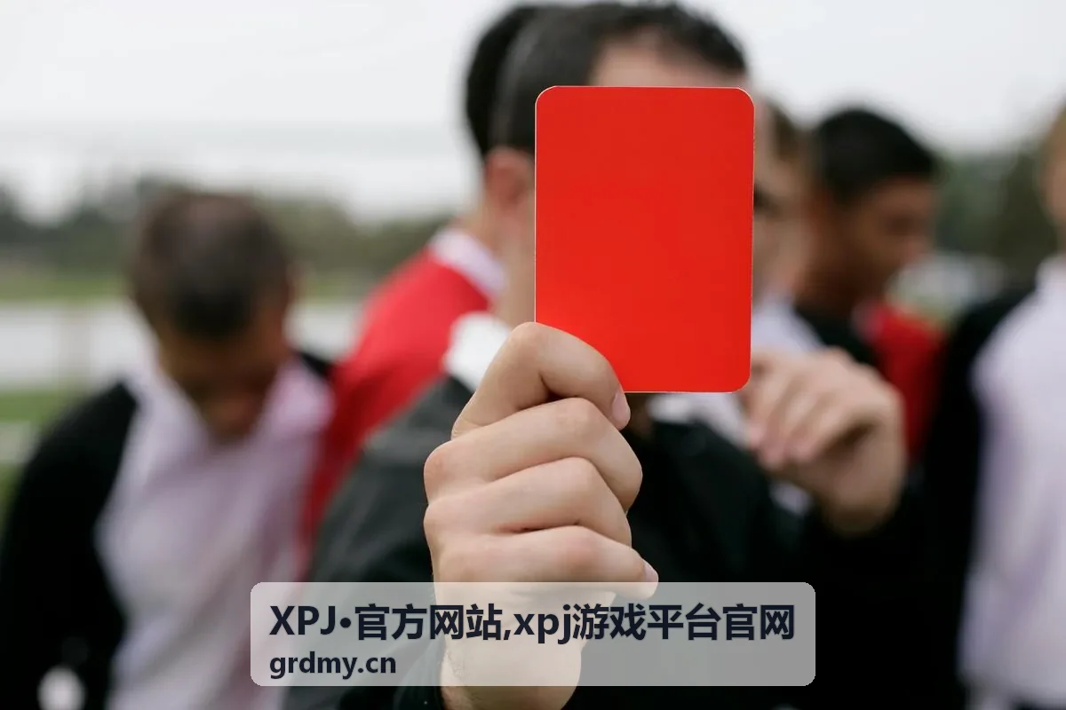 XPJ官方网站首页主视觉