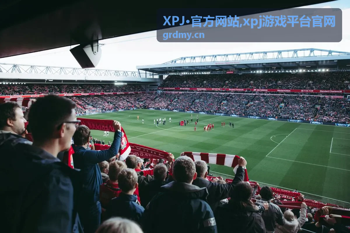XPJ官方网站热门内容推荐封面图